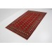 Bukhara Exclusive