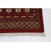 Bukhara Exclusive