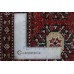 Bukhara Exclusive