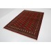 Bukhara Exclusive
