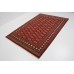 Bukhara Exclusive