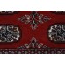 Bukhara Exclusive