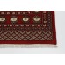 Bukhara Exclusive