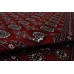 Bukhara Exclusive