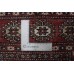 Bukhara Exclusive
