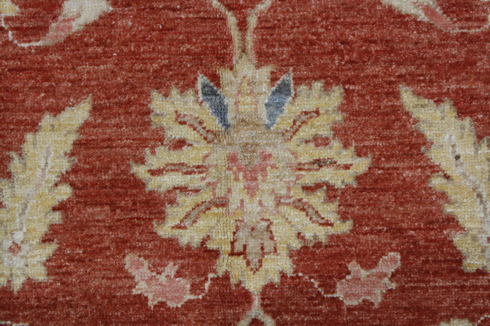 Farahan Exclusive