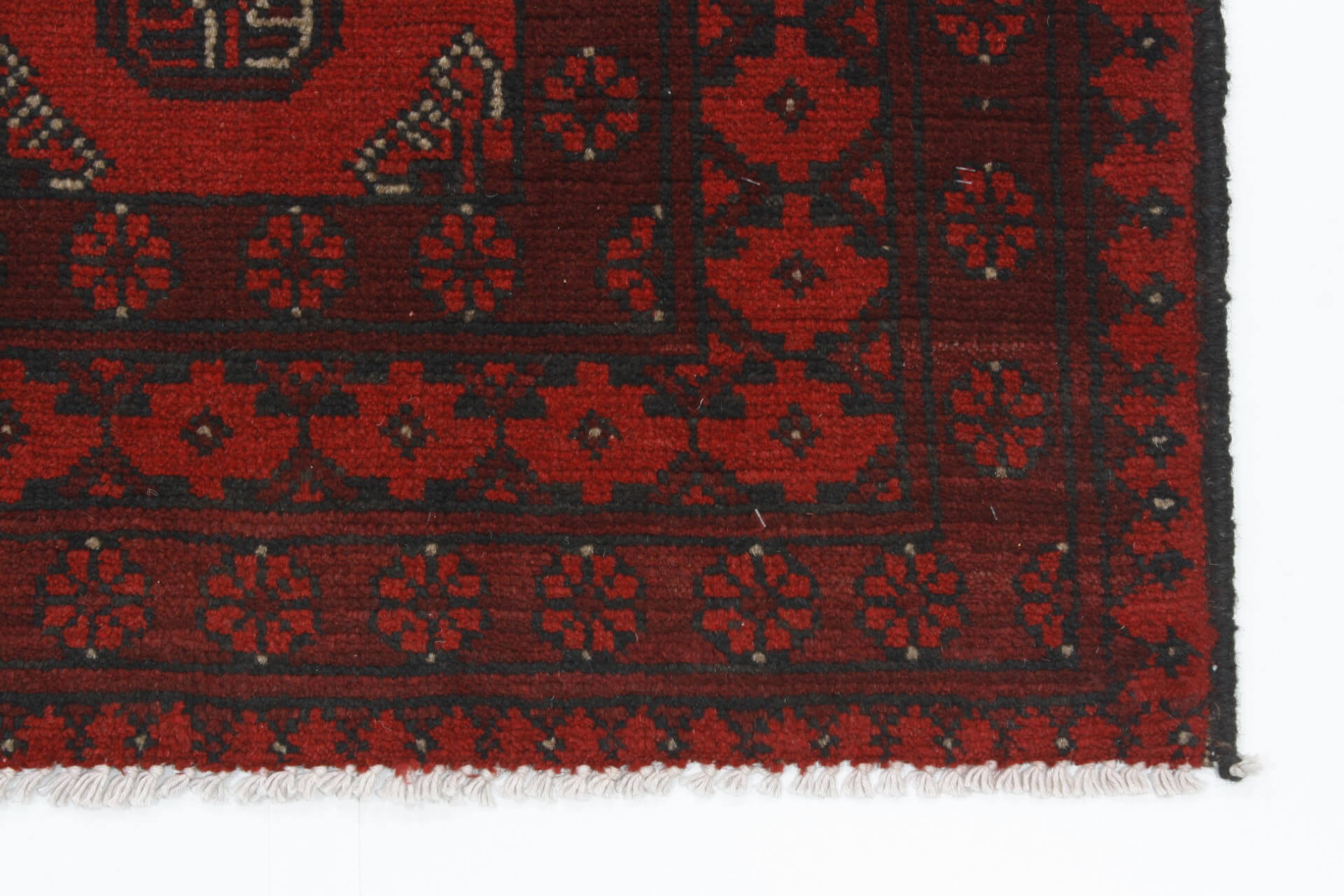 Afghan