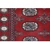 Bukhara Exclusive