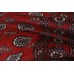 Bukhara Exclusive