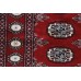 Bukhara Exclusive
