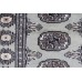 Bukhara Exclusive