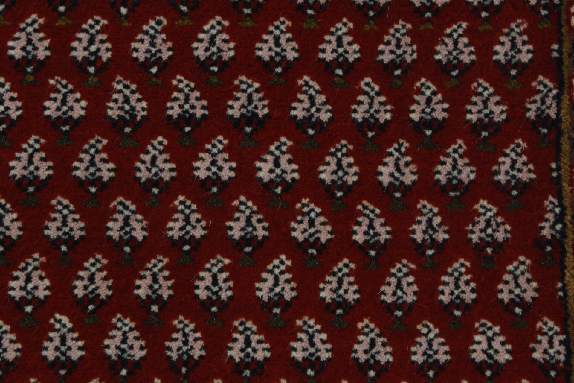Mir