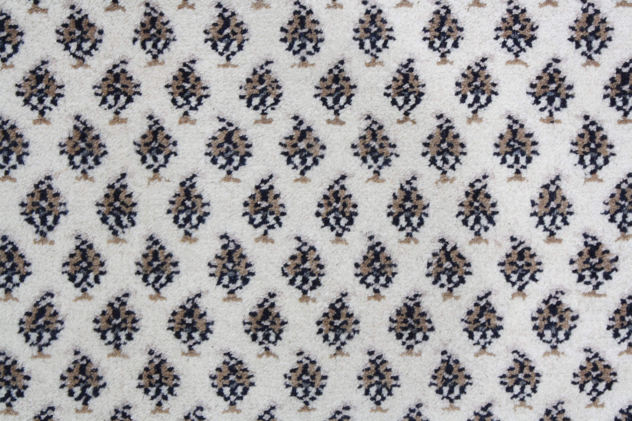 Mir
