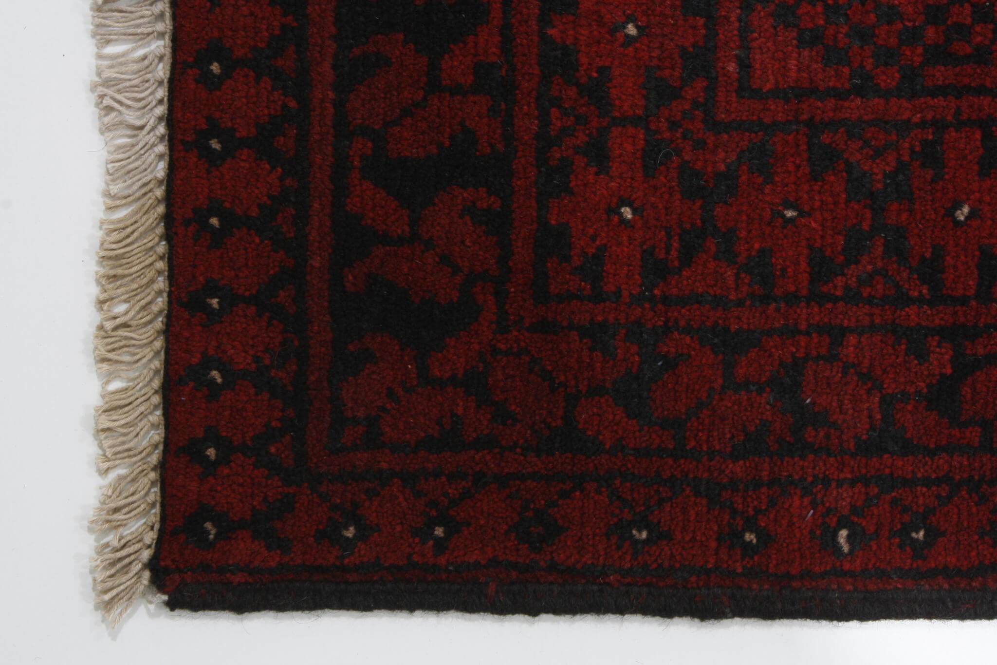 Afghan