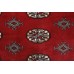 Bukhara Exclusive