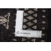 Bukhara Exclusive
