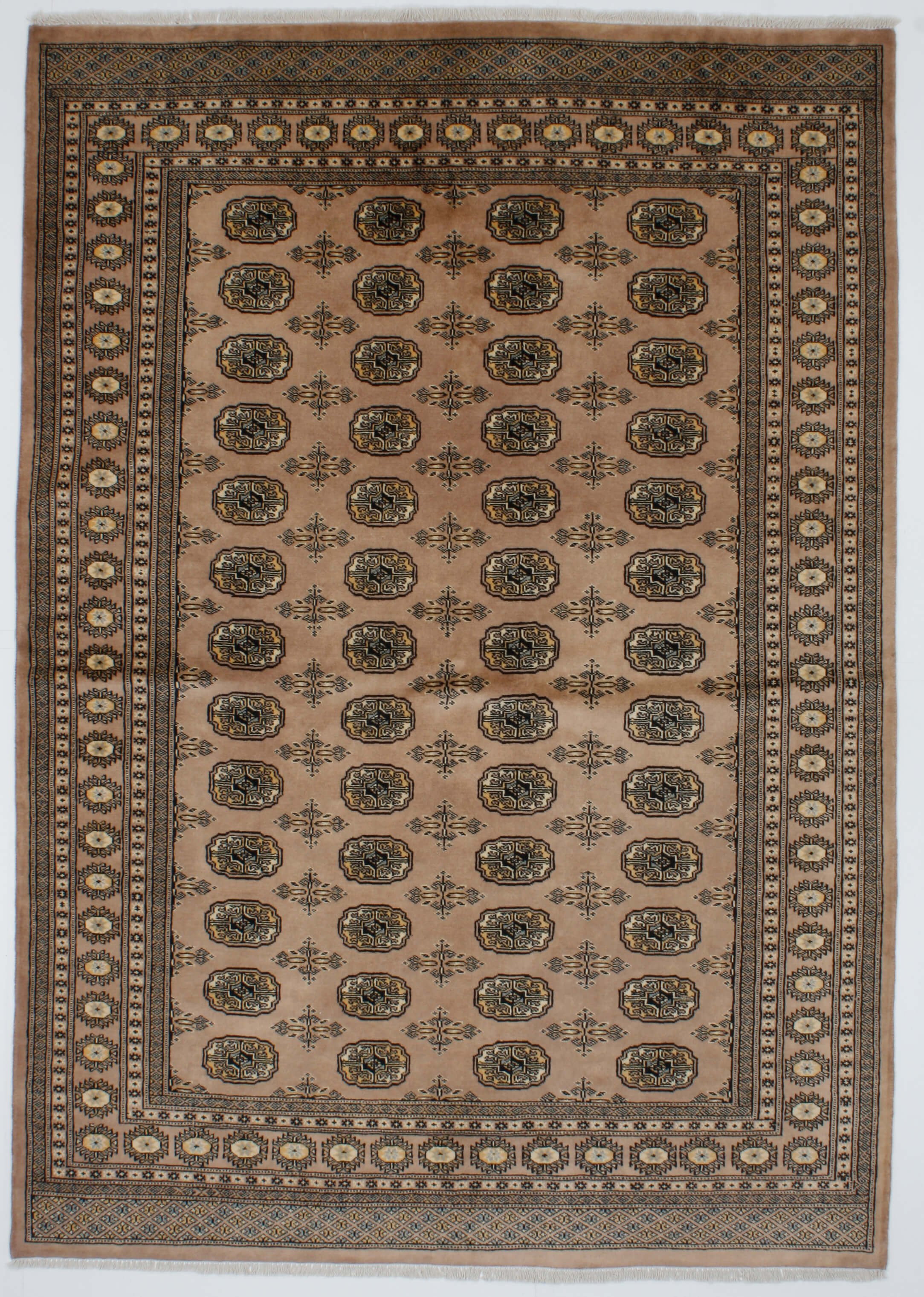 Bukhara Exclusive