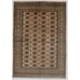 Bukhara Exclusive