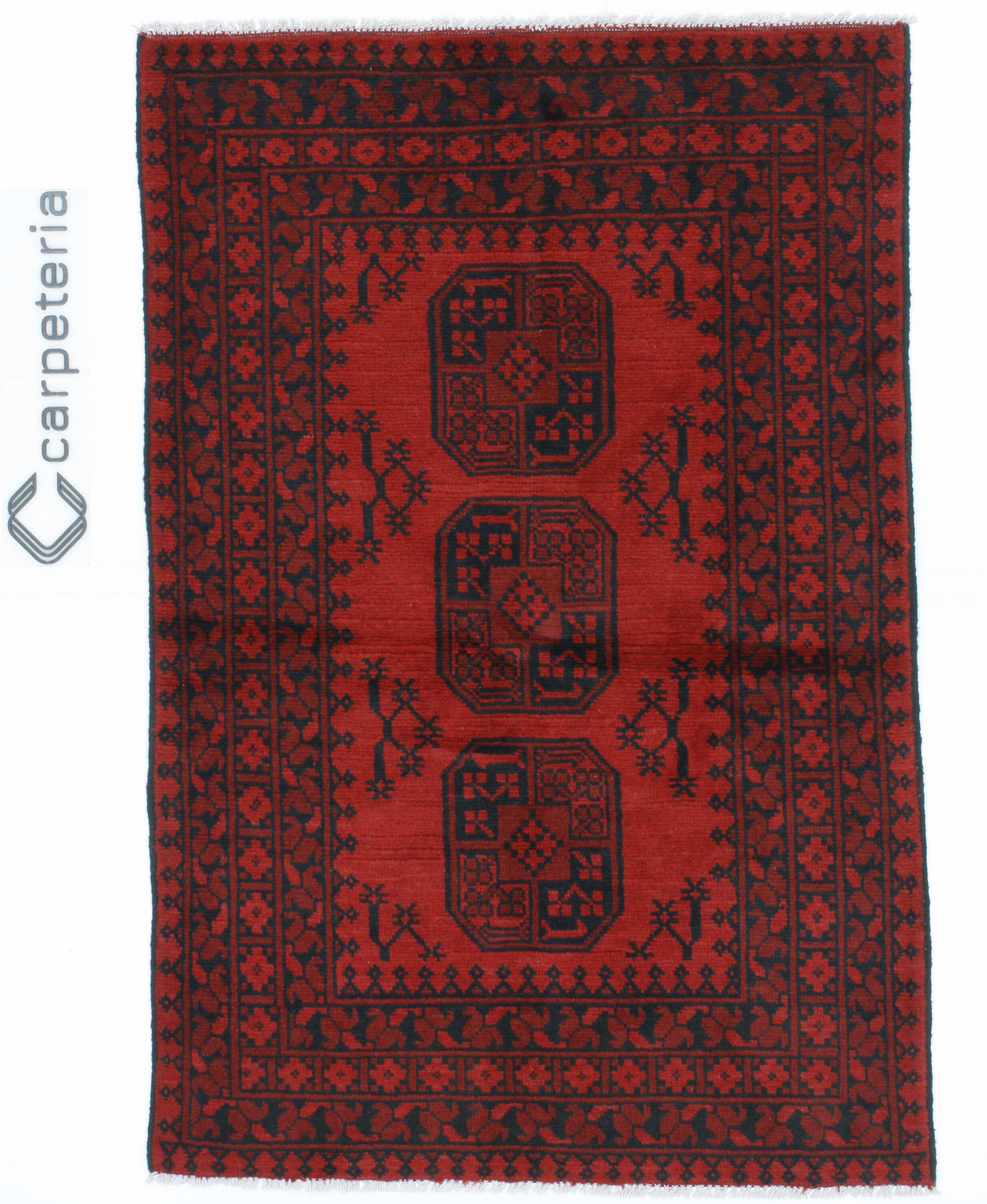 Afghan
