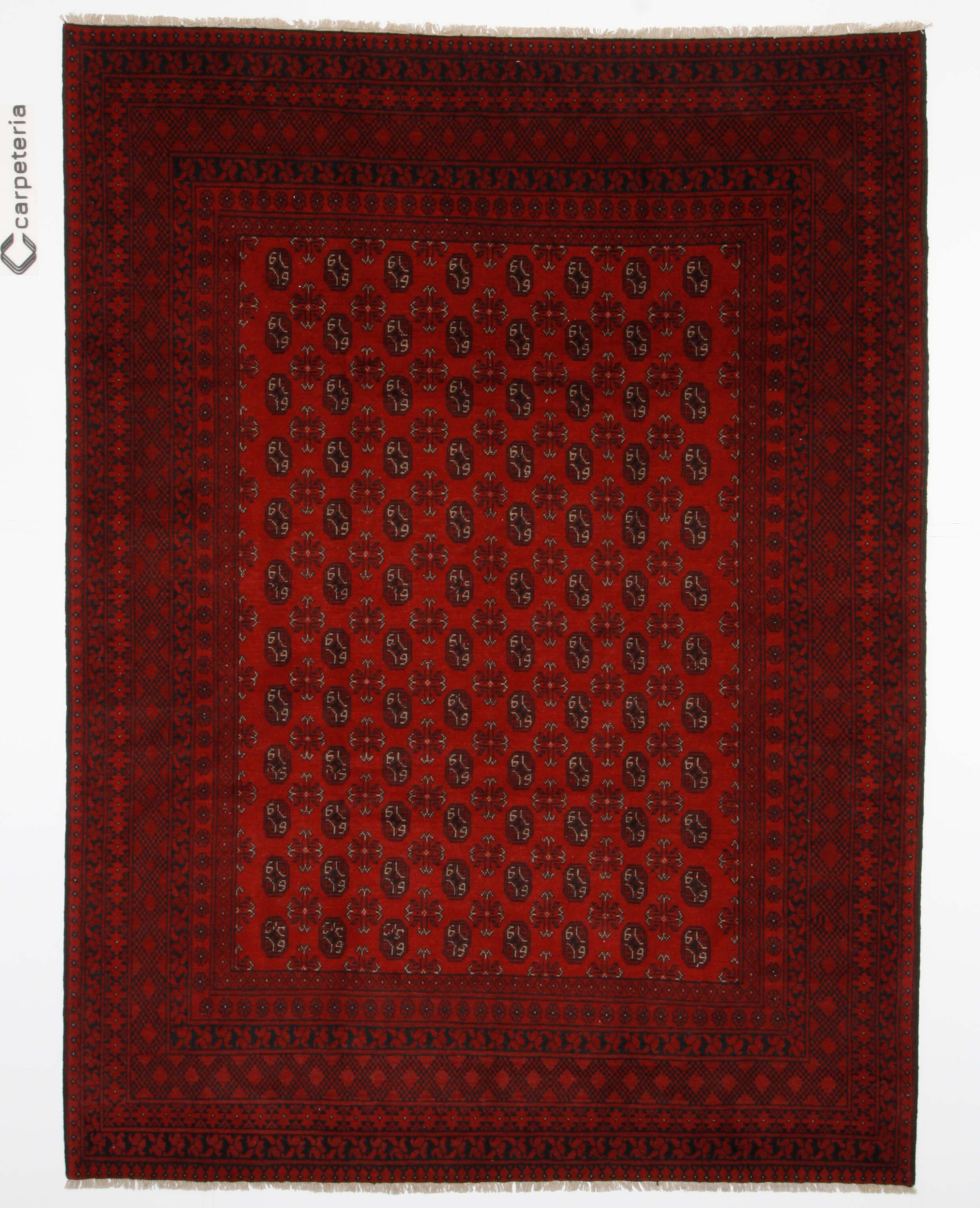 Afghan