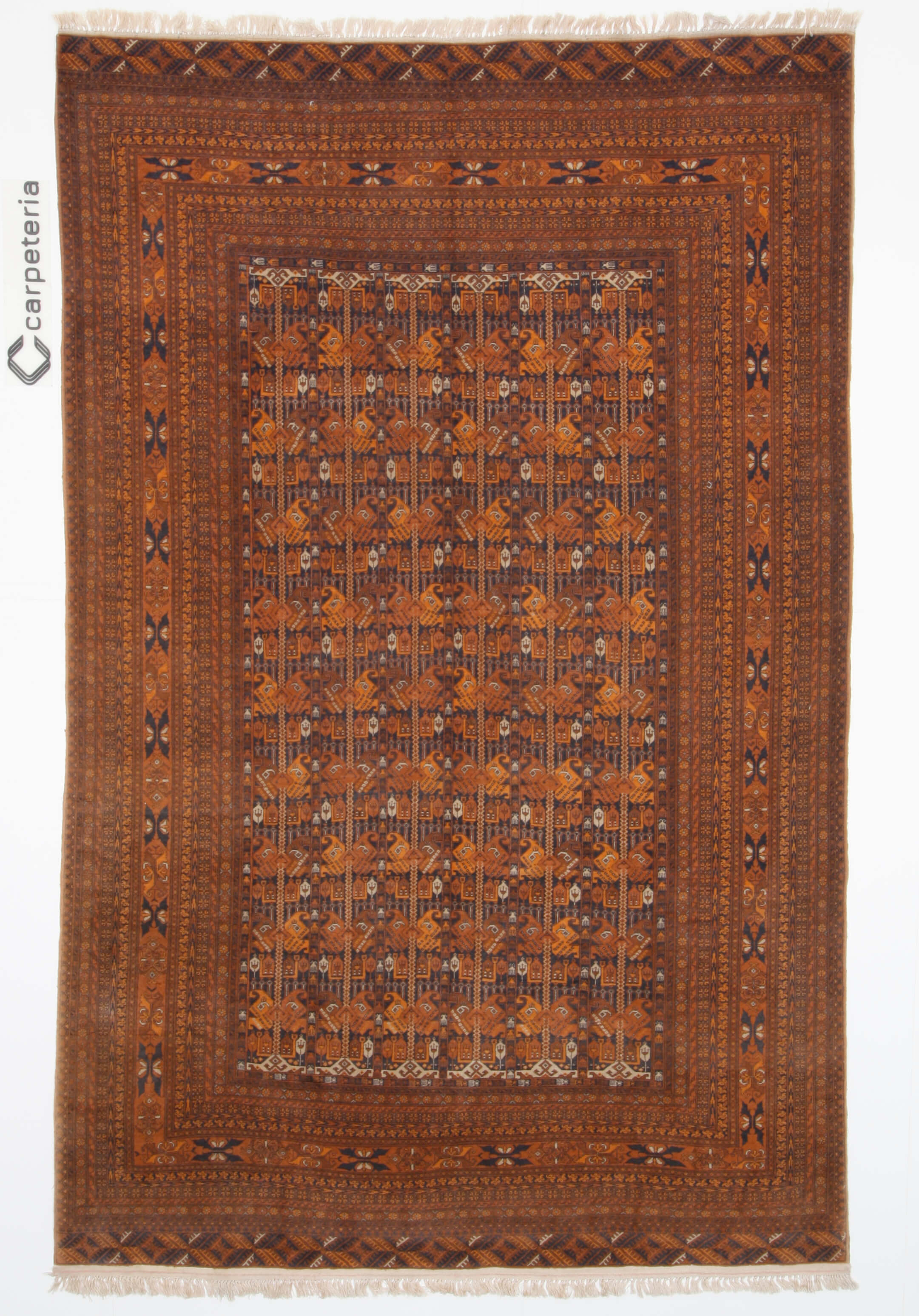 Turkmen Exclusive
