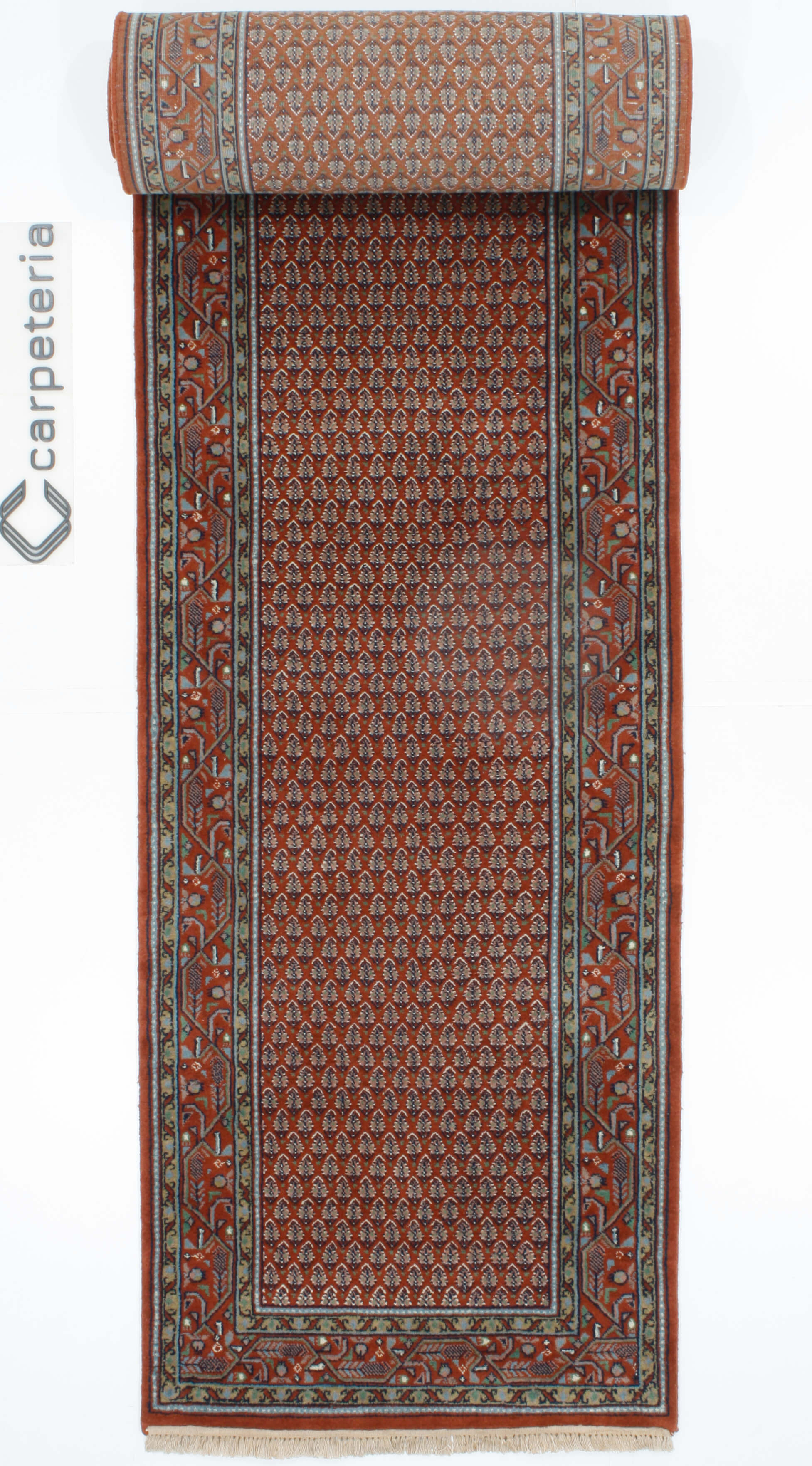 Mir Exclusive