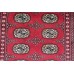 Oriental rug Bukhara Exclusive