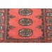 Oriental rug Bukhara Exclusive