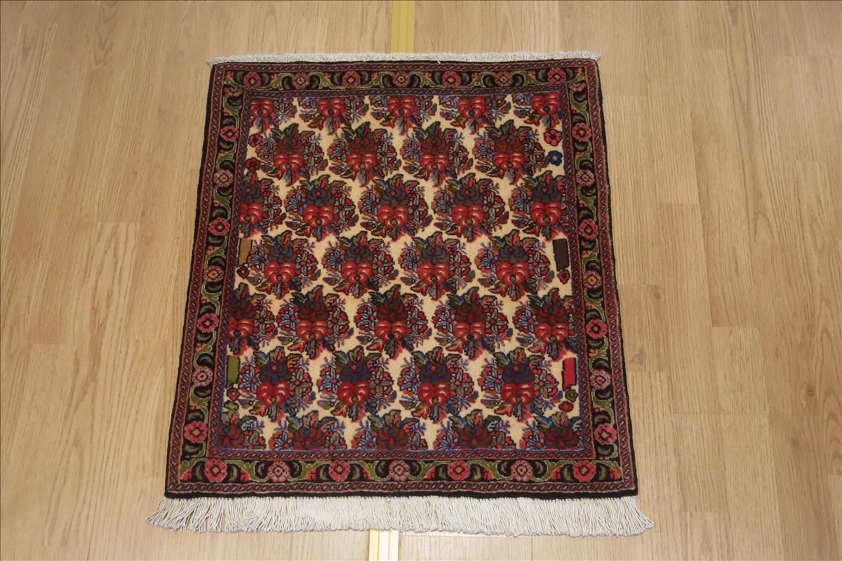 Orientteppich Bidjar Exclusive