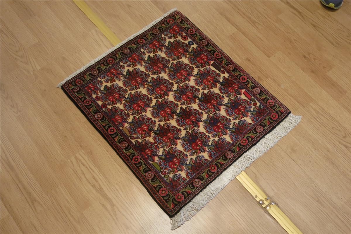 Orientteppich Bidjar Exclusive