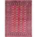 Oriental rug Bukhara Exclusive