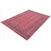 Oriental rug Bukhara Exclusive