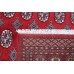 Oriental rug Bukhara Exclusive