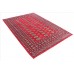 Oriental rug Bukhara Exclusive