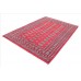 Oriental rug Bukhara Exclusive