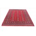 Oriental rug Bukhara Exclusive