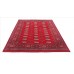 Orientteppich Bukhara Exclusive