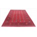 Oriental rug Bukhara Exclusive