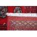 Oriental rug Bukhara Exclusive