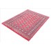 Oriental rug Bukhara Exclusive