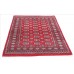 Oriental rug Bukhara Exclusive