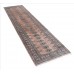 Oriental rug Bukhara Exclusive