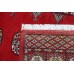 Oriental rug Bukhara Exclusive