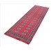 Oriental rug Bukhara Exclusive