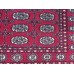 Oriental rug Bukhara Exclusive