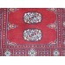 Oriental rug Bukhara Exclusive