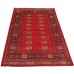 Oriental rug Bukhara Exclusive