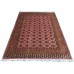 Oriental rug Jaldar Exclusive
