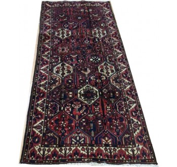 Oriental rug Bakhtiar Super