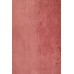 Oriental rug Bukhara Exclusive